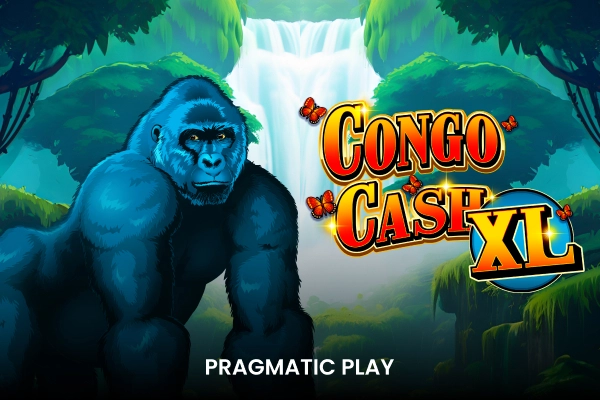 Congo Cash XL