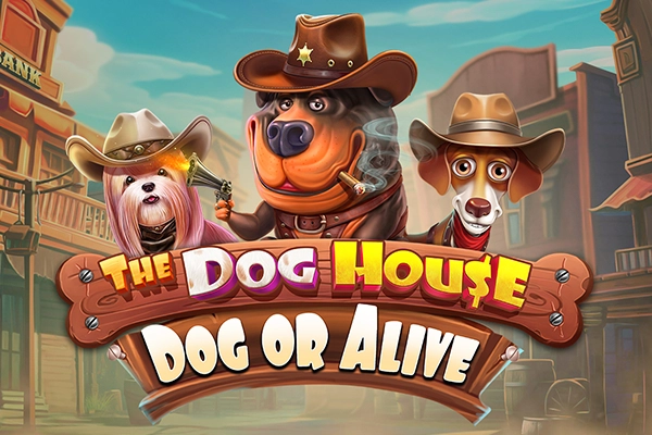 The Dog House – Dog or Alive